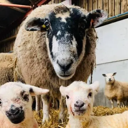 3 Bed Cottage, Free Parking, Free Wifi, Harrogate *