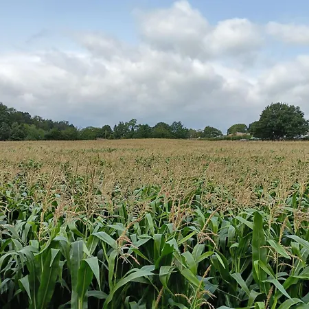 Dom wakacyjny 3 Bed Cottage, Free Parking, Free Wifi, Harrogate Darley